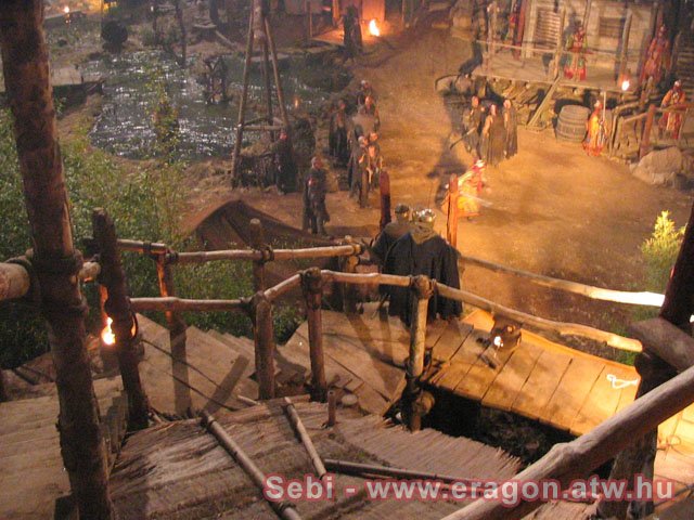 sebi_05.jpg