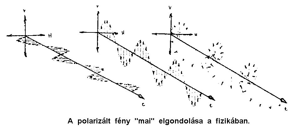 1. kép - Így ábrázolják a fizika tankönyvek a fényt, hibásan.