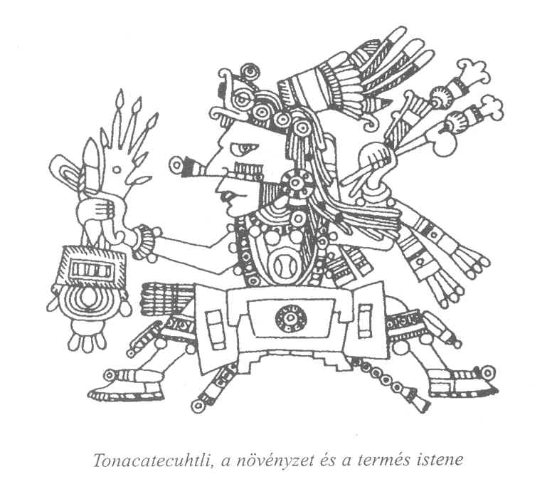 A nvnyzet s a terms istene.