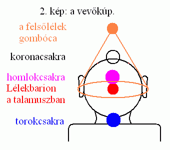2. kp: a vevkp.