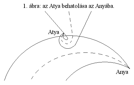 1. bra
