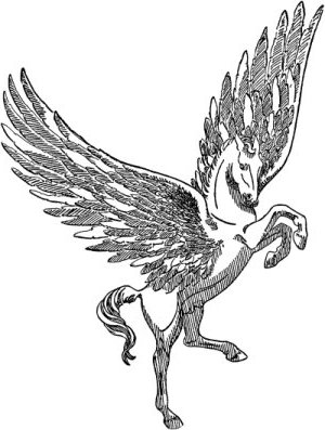 Pegazus 1.
