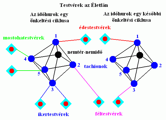 Testvérek az Életfán