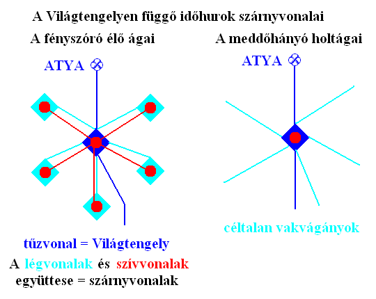 Élõ ágak és holtágak