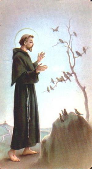 Szent Ferenc