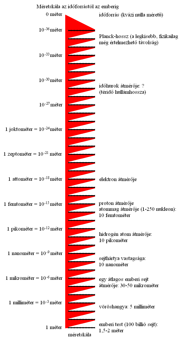 1. ábra: A legkisebbtől az emberig.