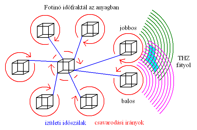 2. ábra.
