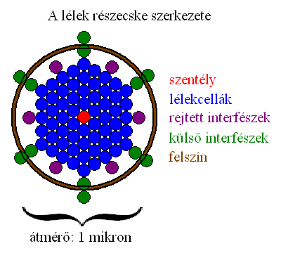 8. ábra.