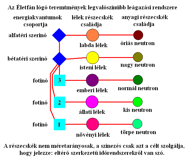 A teremtmények számbavétele