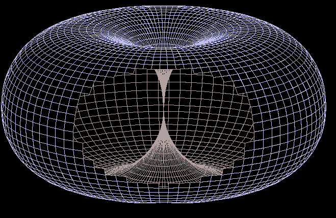 bindu23.png