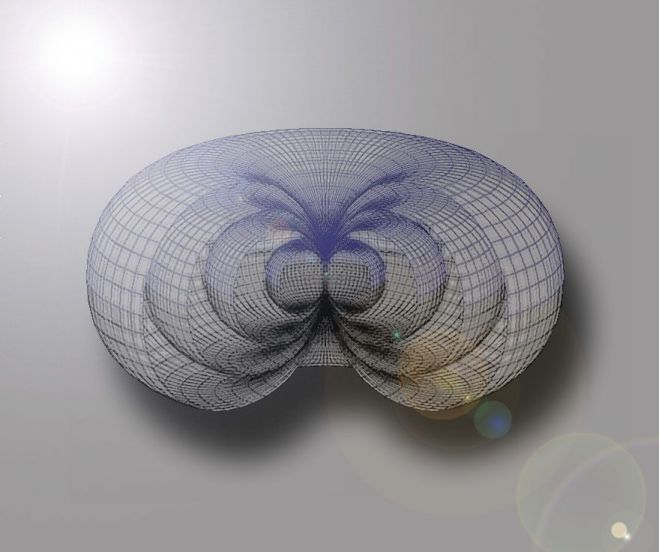 bindu50.jpg