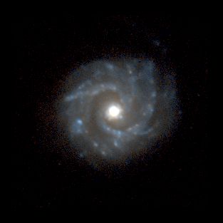 n3631