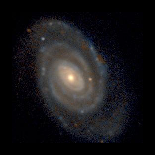 n5364