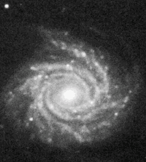 ngc1288