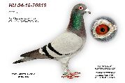 HU04-16-70819-3