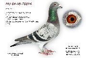 HU04-16-7814