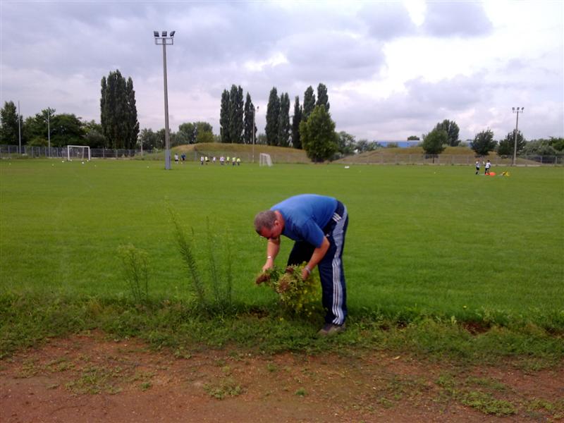 20100727213 (Medium).jpg