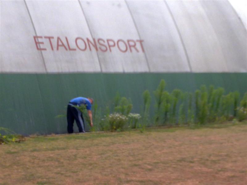 20100727220 (Medium).jpg