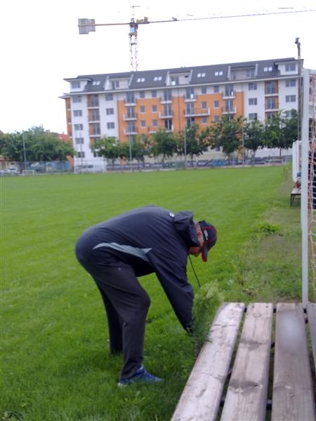 20100728264 (Medium).jpg