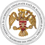 Itilkzi magyarsg jelvnye - terv
