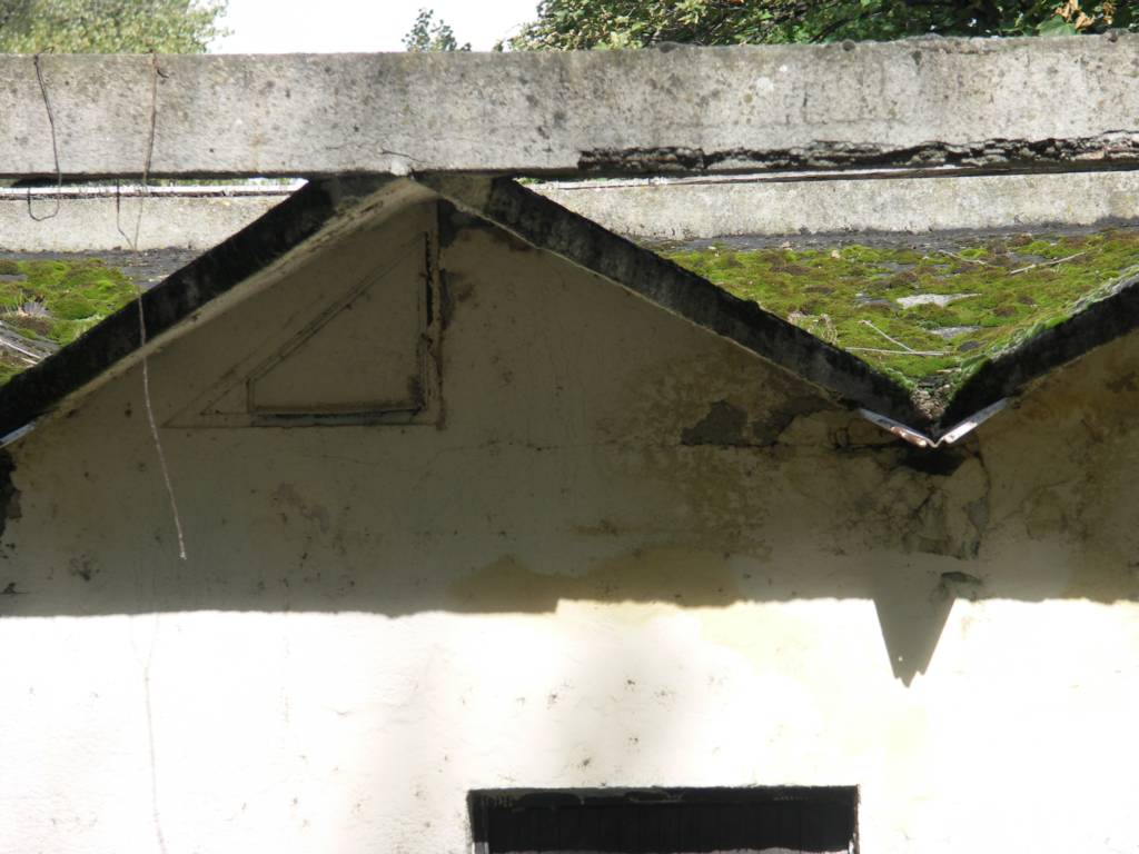 PICT2309.JPG