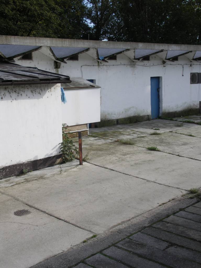 PICT2331.JPG