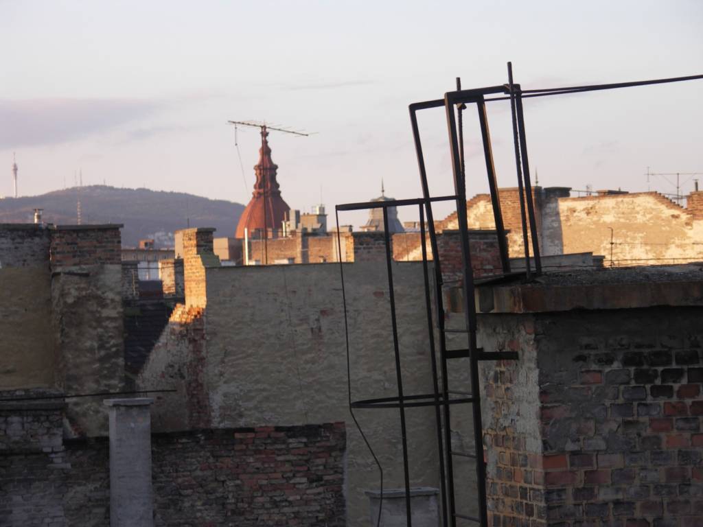 PICT2995.JPG