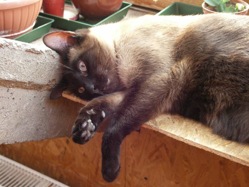PICT7653.JPG