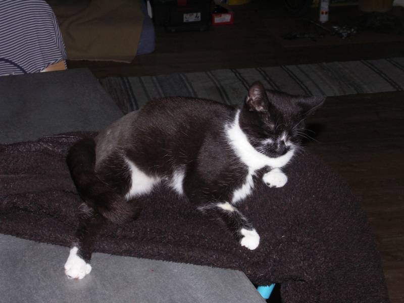 PICT7664.JPG