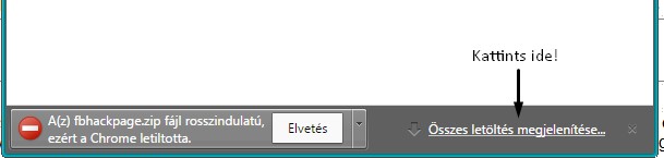 Kattints az Összes letöltés megjelenítése gombra!