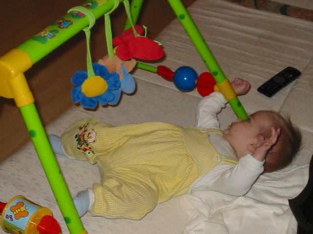 010.jpg