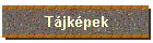 Tjkpek