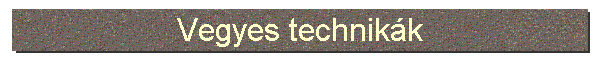 Vegyes technikk