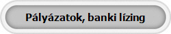 P�ly�zatok, banki l�zing