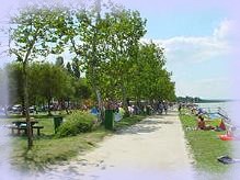 Szabadstrand