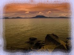 estif�ny