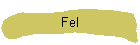 Fel