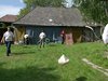 levelek 036