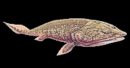 Négylábú halak (Tetrapods)