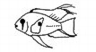 Acarichthys
