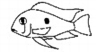 Geophagus