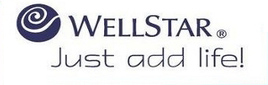 wellstar-logo