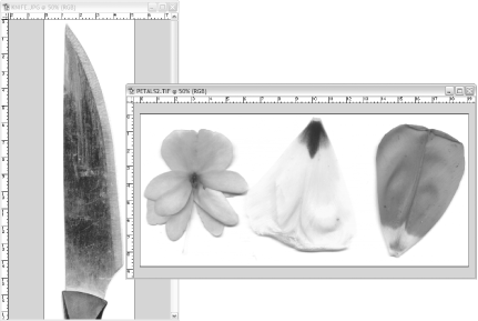 figs/flhk_0209.gif