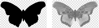 figs/flhk_0340.gif