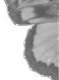figs/flhk_0342.gif