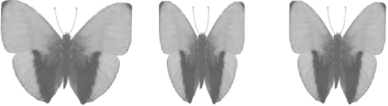 figs/flhk_0407.gif