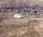 Collection of Fatal Rally Crashes