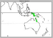 Distribution of Casuarius casuarius