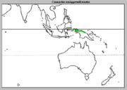 Distribution of Casuarius unappendiculatus
