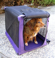 A dog who is familiar with crates so won't chew or dig at it can be placed in a soft crate, which is easier to fold up and to carry than most wire crates. Experienced crate-trained dogs usually stay in the crate until verbally released, even when the door is open.